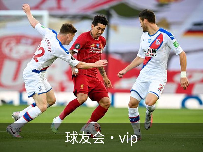 走进球友会·vip